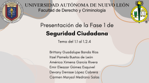 Seguridad Ciudadana: Presentaci&oacute;n sobre Seguridad Ciudadana