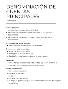 Cat&aacute;logo de Cuentas Contables: Definiciones Clave