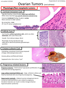 Ovarian Tumors: A Pathology Overview
