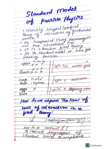 Standard Model of Particle Physics: Lagrangian & Fundamental Interactions