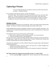 DECS743 Fa25 Assignment 1: Capturing & Analyzing Business Processes