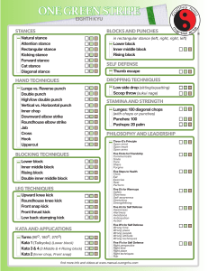 Cuong Nhu One Green Stripe Training Manual