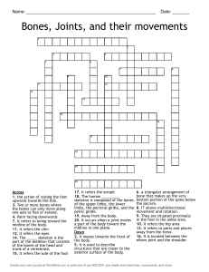 Bones, Joints, Movements Crossword Puzzle