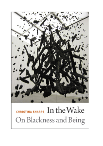 In the Wake: Blackness and Diaspora - Book Excerpt
