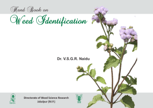 Hand Book on Weed Identification: Agricultural Research Guide by ICAR