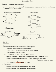 Colonial Social Hierarchy: Order and Authority in America