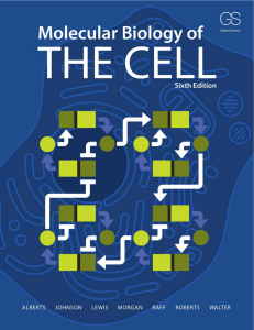Molecular Biology of The Cell, Sixth Edition - Alberts et al.