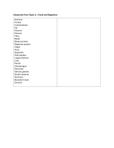 Keywords for Food and Digestion: Biology Study Guide