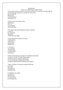 Class 11 Biology Classification MCQs