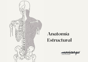 Anatom&iacute;a Estructural: Gu&iacute;a de Anatom&iacute;a para Yoga