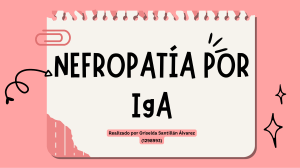 Nefropatía por IgA: Causas, Síntomas y Fisiopatología