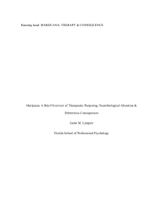 Marijuana: Therapy, Brain Alterations & Consequences Research