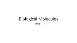 Biological Molecules: Carbohydrates - Monosaccharides, Disaccharides