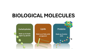 Guide to Biological Molecules