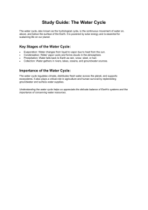 The Water Cycle Study Guide: Stages, Importance, and Earth Science