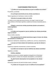 CUESTIONARIO PRÁCTICA N