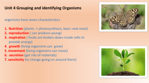 Grouping and Identifying Organisms: Lecture Notes
