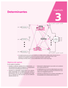 Determinante de una matriz