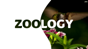 Animal Ecology: Understanding Habitats & Conservation