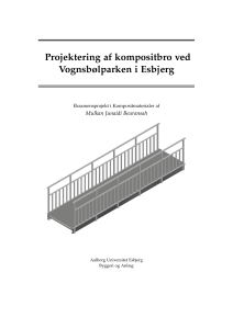 Eksamensprojekt i Kompositmaterialer