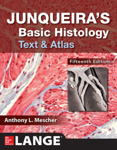 Junqueira's Basic Histology Text & Atlas - Fifteenth Edition