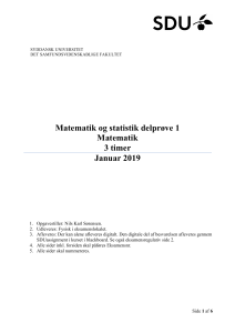 Matematikeksamen, januar 2019, Syddansk Universitet