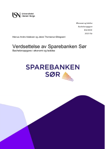 V&aelig;rdians&aelig;ttelse af Sparebanken S&oslash;r Bacheloropgave