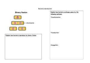 Bacterial Reproduction: Binary Fission & Gene Exchange Methods