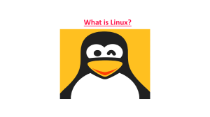 What is Linux? Essential Basic Commands for Beginners