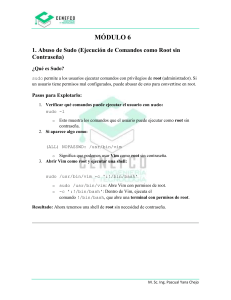 M&oacute;dulo 6: Abuso de Sudo y Explotaci&oacute;n de Privilegios