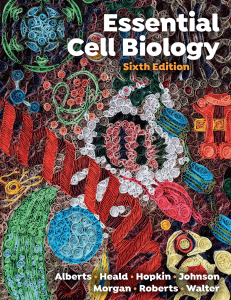 Essential Cell Biology, 6th Edition Textbook