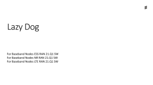 Baseband & Radio Processor Integration Guide