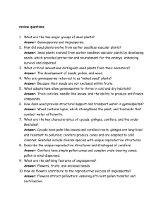 Seed Plant Review Questions: Gymnosperms & Angiosperms
