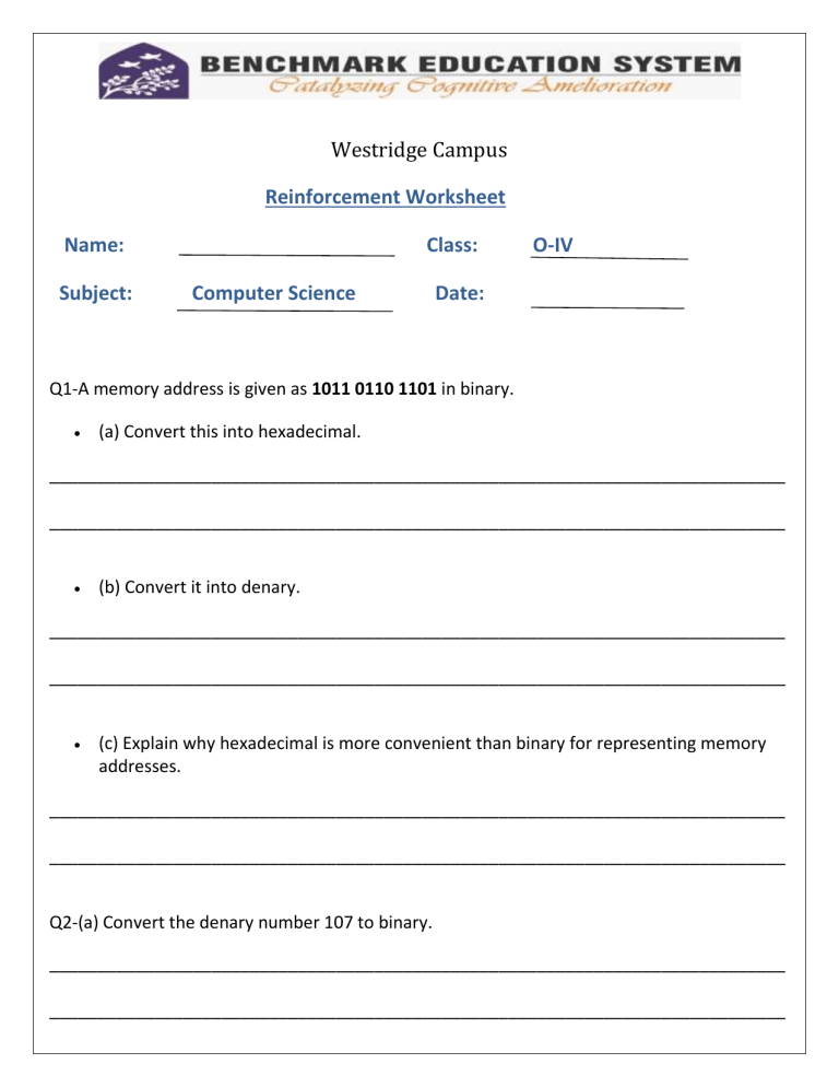 Computer Science Reinforcement Worksheet: Number Systems & AI