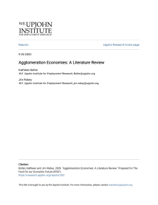 Agglomeration Economies: A Literature Review