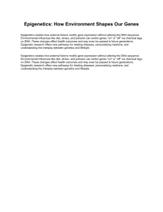 Epigenetics: How Environment Shapes Gene Expression & Health