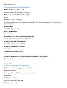 Human Body Energy Systems & Metabolism: Carbs, Proteins, Fats, Hormones