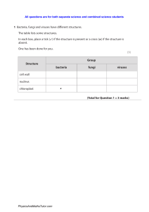 Biology Exam Paper: Bacteria, Fungi, Viruses