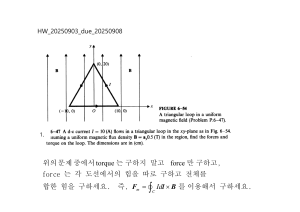 Magnetic Force on Triangular Current Loop - Physics Homework Problem