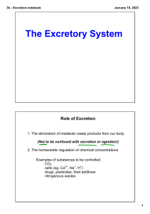 Excretory System: Function, Organs & Nitrogenous Waste