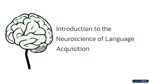 Neuroscience of Language Acquisition: Brain, Learning & Development