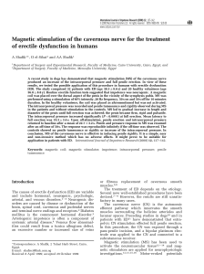 Magnetic Stimulation for Erectile Dysfunction: Human Study Results