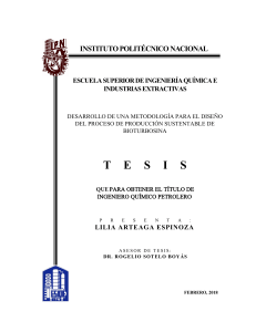 Tesis Desarrollo de una metodolog&iacute;a para el dise&ntilde;o del proceso de producci&oacute;n sustentable de bioturbosina. (1)