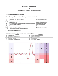 Anatomy & Physiology II Lab: Respiratory System Physiology Study Guide