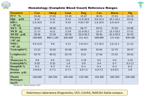 Veterinary Hematology Reference Ranges: CBC for Animals