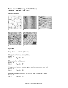 Human Anatomy & Physiology Chapter 4: Tissue Exam Questions - Marieb/Hoehn