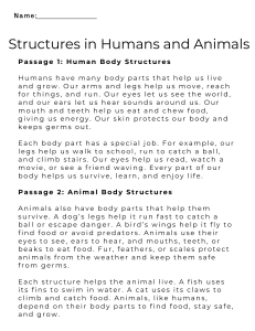 Human & Animal Body Structures Worksheet