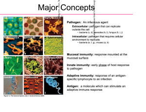 Immune System: Pathogens, Immunity, and Lymphoid Organs