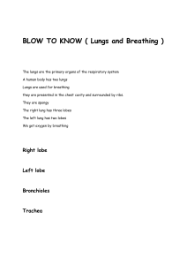 BLOW TO KNOW: Lungs, Breathing & Respiratory System Basics