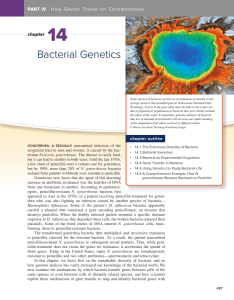 Bacterial Genetics: Diversity, Genomes, Gene Transfer & Antibiotic Resistance